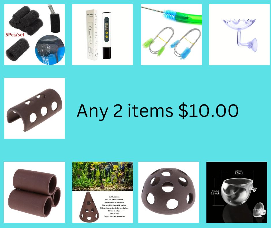 Any 2 Items For $10.00