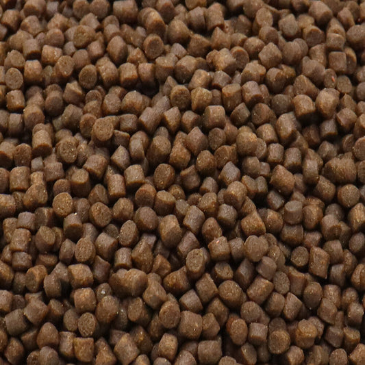 100g Cichlid Growth & Protein 6mm Floating Pellet