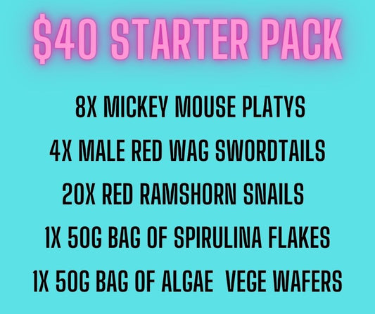 $40 STARTER PACK