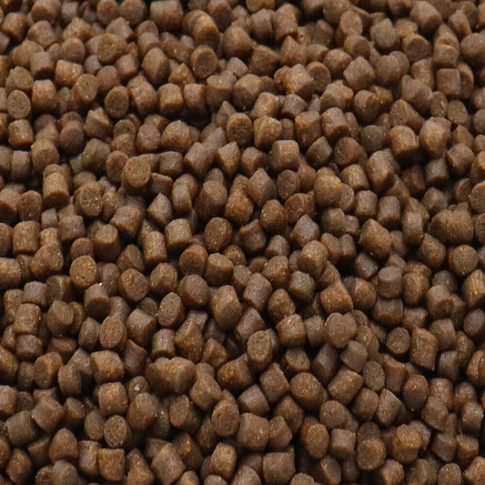 50g Cichlid Growth& Protein 6mm Floating Pellet