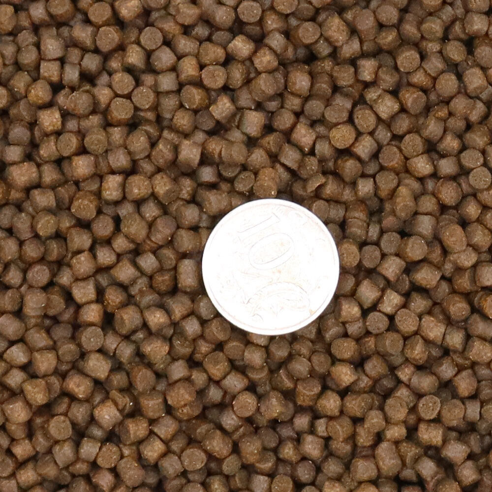 100g Cichlid Growth & Protein 6mm Floating Pellet